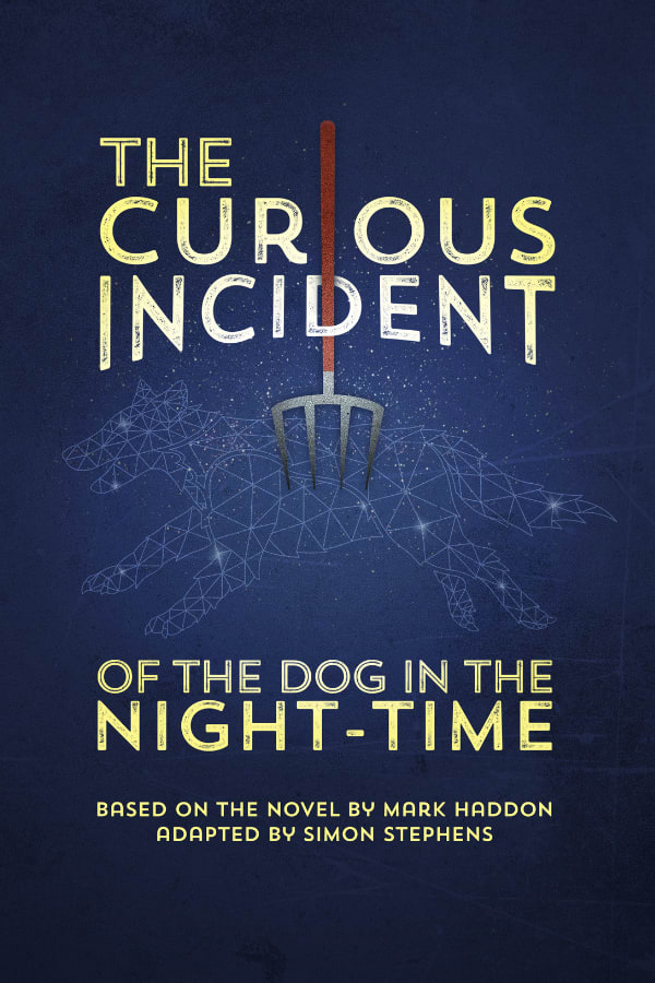 The Curious Incident of the Dog in the Night-Time