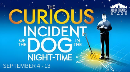 The Curious Incident of the Dog in the Night-Time