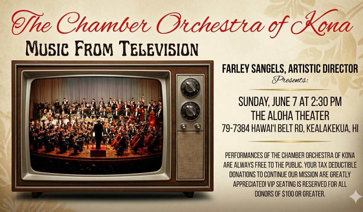 The Chamber Orchestra of Kona - Music From Television