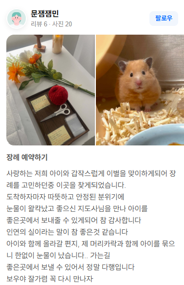 펫브릿지 장례 후기 실제 후기 스크린샷 1
