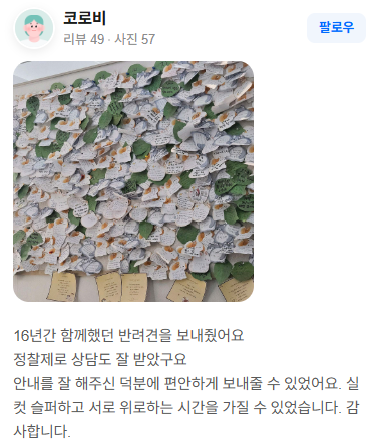 펫브릿지 장례 후기 실제 후기 스크린샷 2