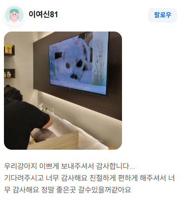 펫브릿지 장례 후기 실제 후기 스크린샷 7