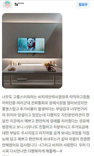펫브릿지 장례 후기 실제 후기 스크린샷 8