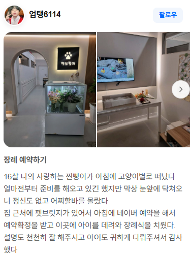 펫브릿지 장례 후기 실제 후기 스크린샷 9