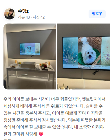 펫브릿지 장례 후기 실제 후기 스크린샷 11