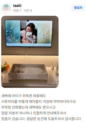 펫브릿지 장례 후기 실제 후기 스크린샷 10