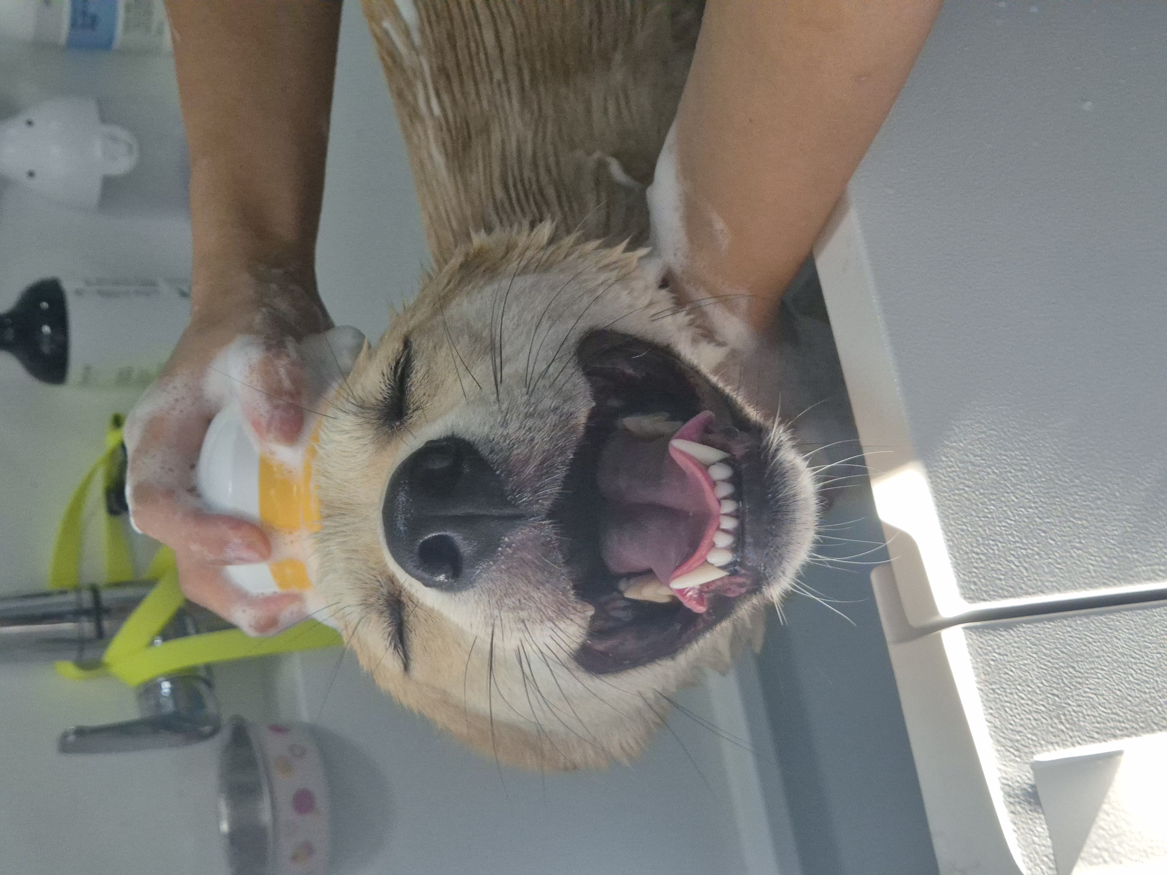 PBRG Care 시흥 진도믹스 아톰 사진