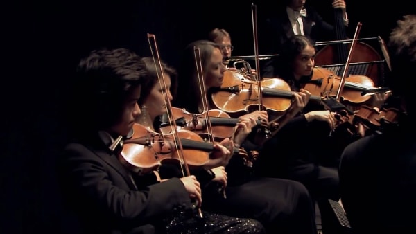 Musicians playing the violin 
