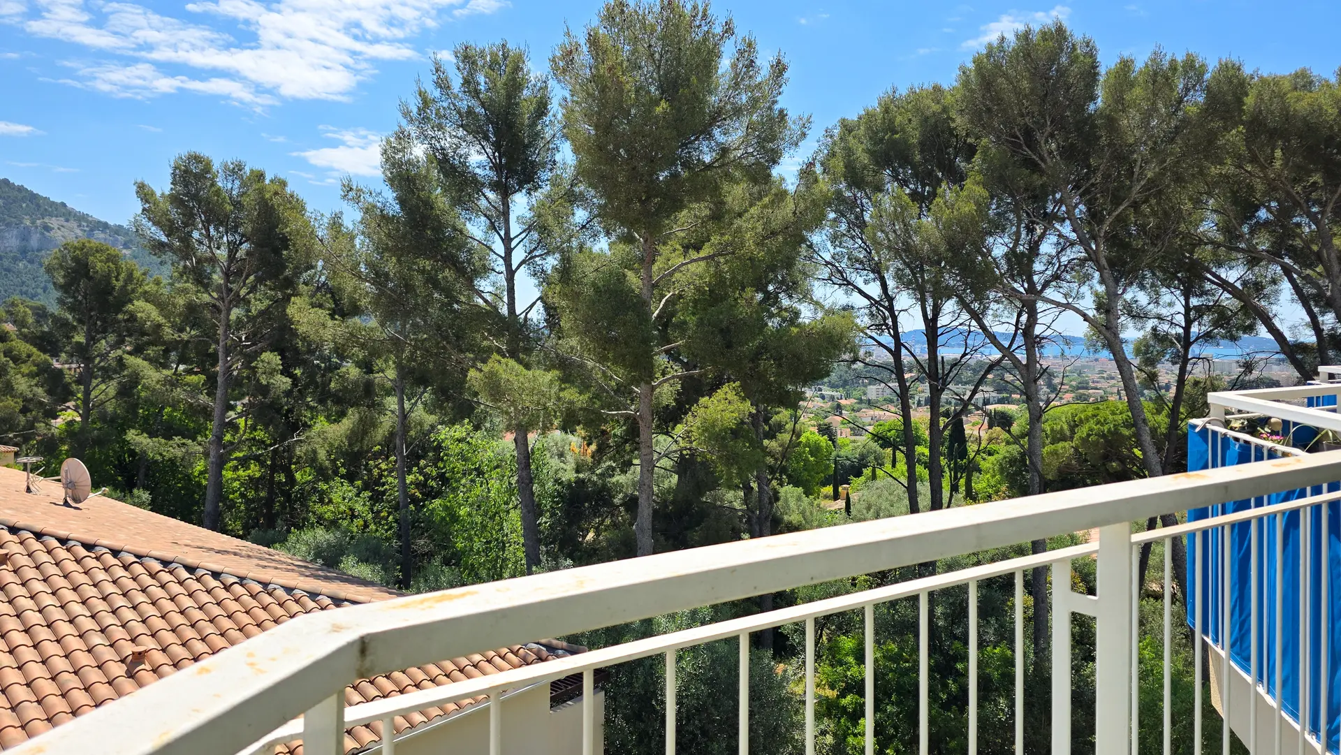 Vente APPARTEMENT TOULON ( Les Quatre Chemins) - Avis Sylvain Barbet