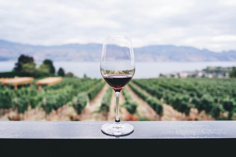 Vineyard Wine Tasting Anniversary Date