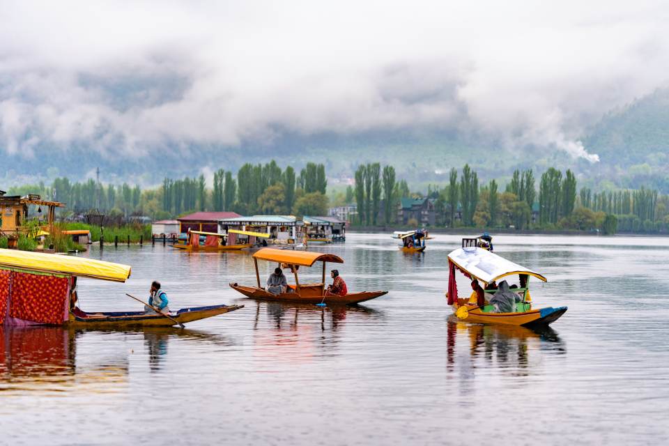 Kashmir vs Manali