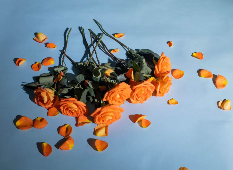 Romantic anniversary flowers