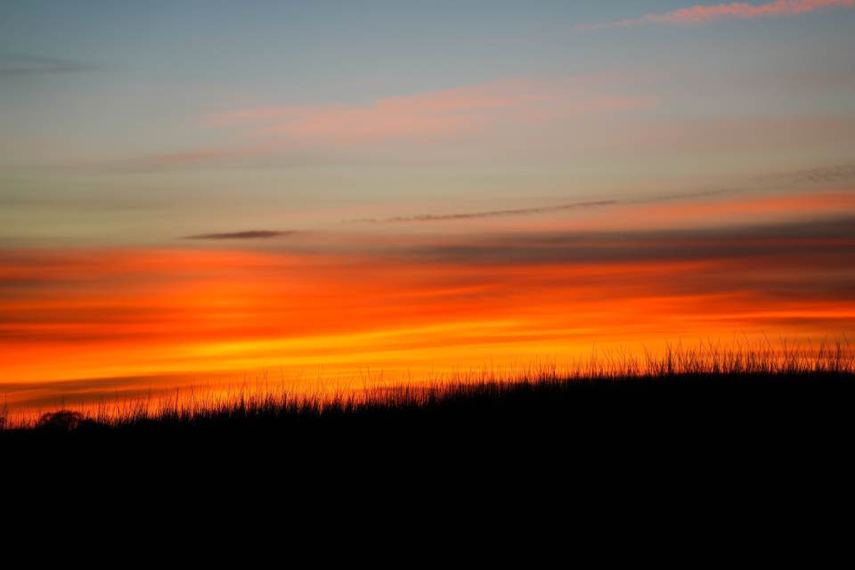 Golden Sunsets