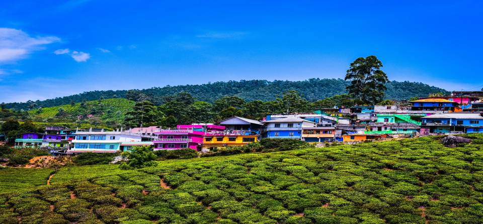 Romantic travel in Munnar Honeymoon Guide, India