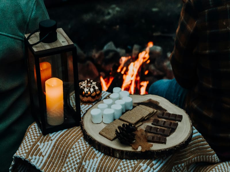 Indoor Picnic Experiences