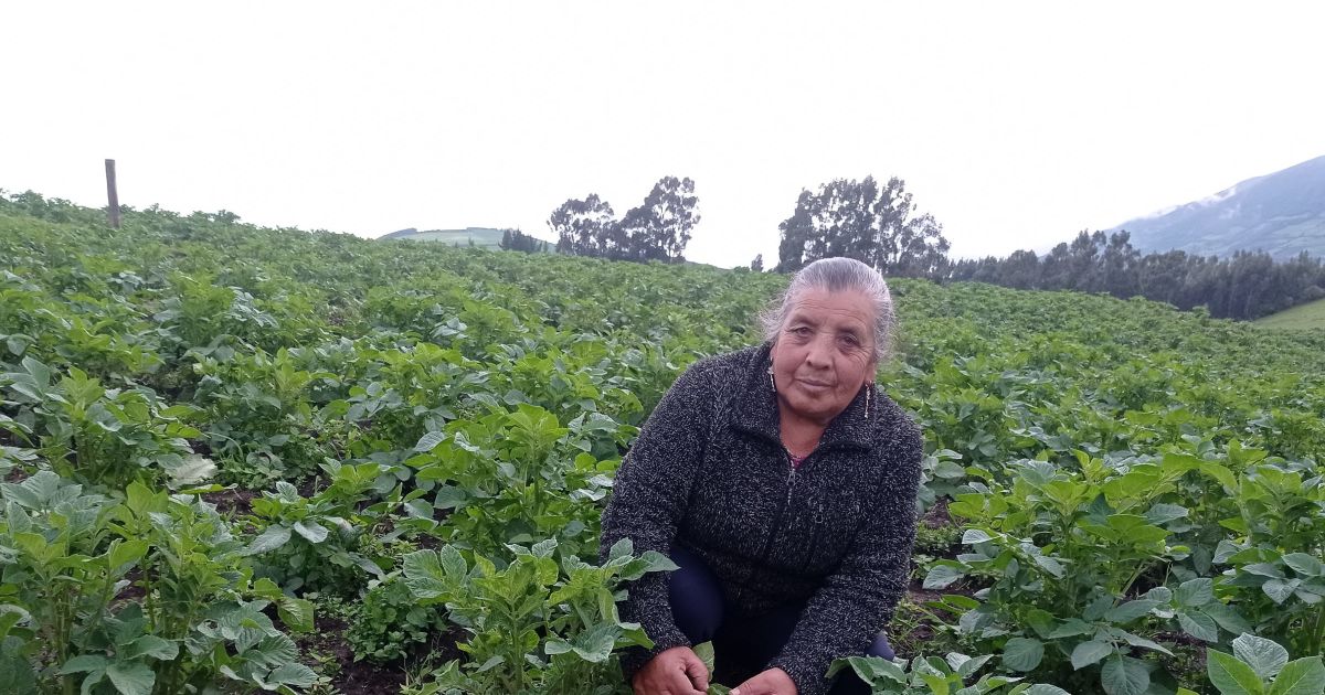 Rosa Ines | Microfinance from CARE International UK