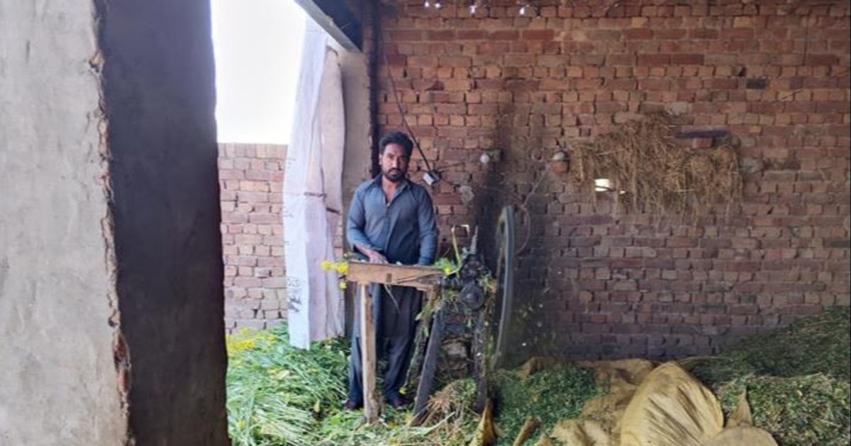 Muhammad Ashraf | Microfinance from CARE International UK