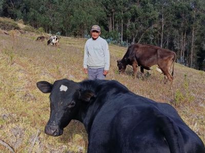 Agriculture and livestock farming have enabled Carlos to improve his income and create jobs