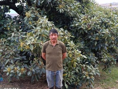 Guillermo improved his crop fertilisation and acquired more land to increase his yields.