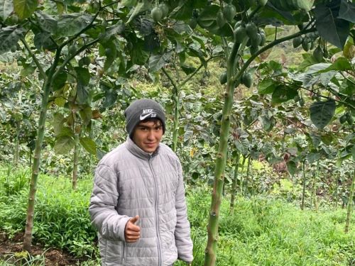 Thanks to the loan, Anthony was able to fertilise his crops and sell his harvests for a profit