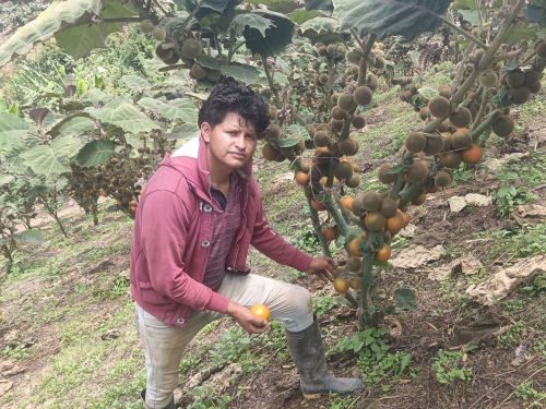With his improved crops, Victor wants to continue creating more local employment opportunities.