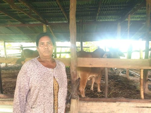Yaun turned her dream of cattle farming into a growing enterprise.