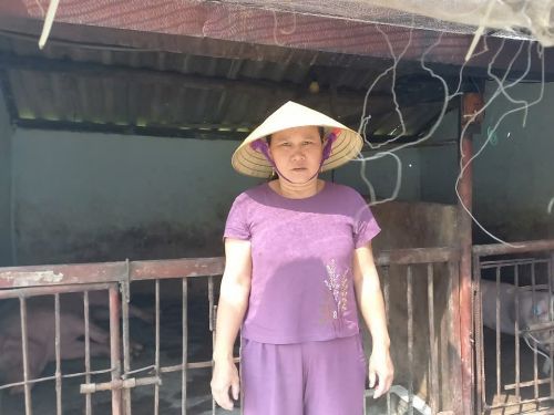 Tuyet, a livestock breeder, has strengthened her business thanks to her loan