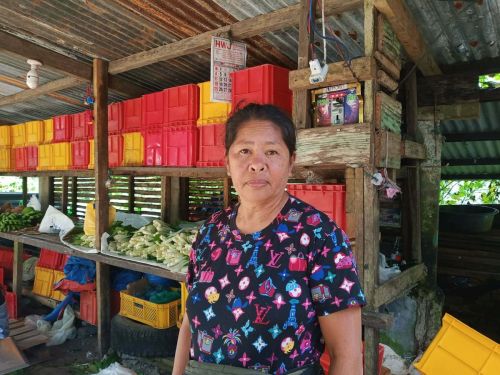 Tarcisia boosted her sales by sourcing fresh vegetables more efficiently.