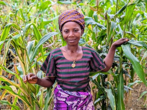 Amivi has purchased inputs to produce maize on a larger area of land and to hire skilled labour
