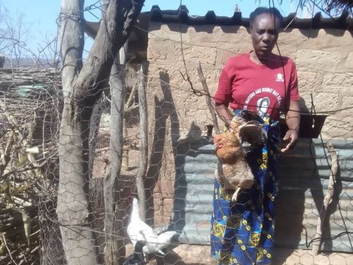 Lukiya's resiliant journey as a poultry enterpreneur .