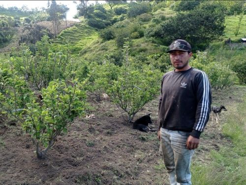 With his knowledge in agriculture, Luis has built a better future.