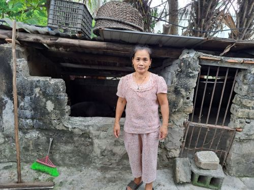 Hoat's pig farm has significantly improved the quality of life for her and her family