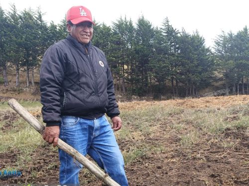Segundo has increased his crop and milk production on his farm.