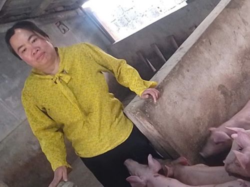 Huyen increased her income through buffalo farming and careful livestock care.