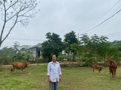 Cong prudently used her loan to achieve significant income improvement from her cattle herd