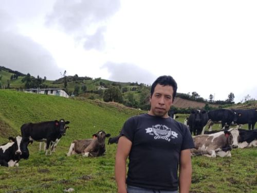 Wilmer has strengthened his dairy business and increased the number of cattle on his farm.