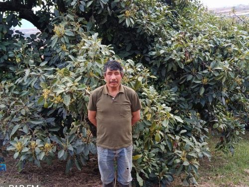 Guillermo improved his crop fertilisation and acquired more land to increase his yields.