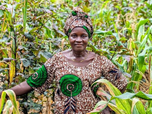 Christine has been able to expand her farmland, purchase essential inputs, and hire skilled labour