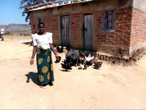 Lufina's farm has produced more Irish potato yields and she has paid her children's school fees