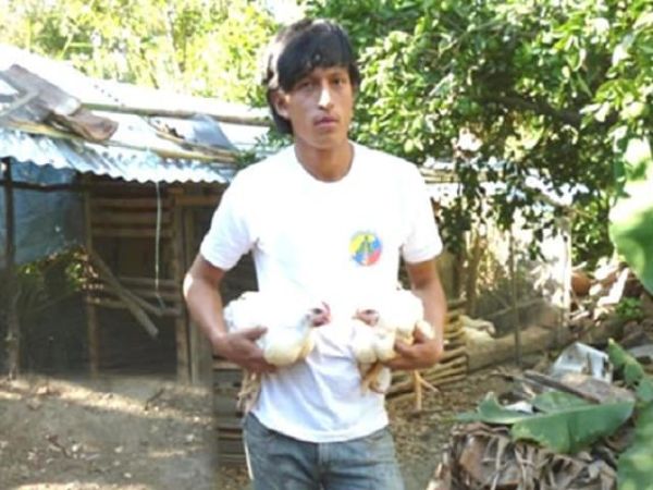 Loan image thumbnail 0