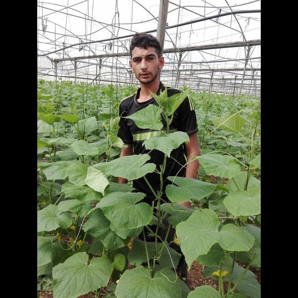 Loan image thumbnail 0