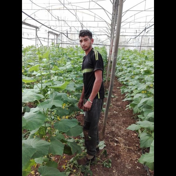 Loan image thumbnail 2