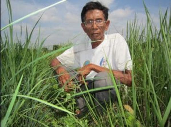 Loan image thumbnail 1