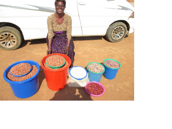 Loan image thumbnail 1