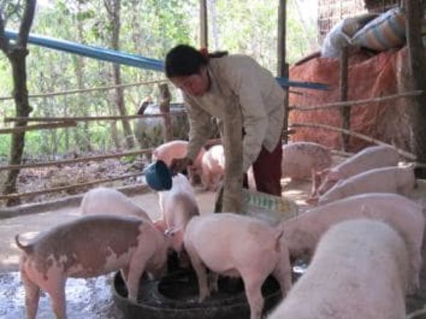 Loan image thumbnail 1