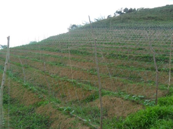 Loan image thumbnail 1