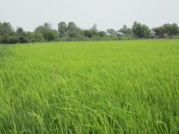 Loan image thumbnail 2