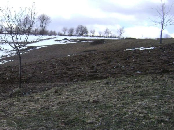 Loan image thumbnail 1