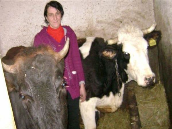 Loan image thumbnail 1