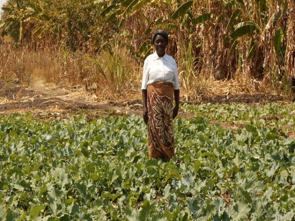 Loan image thumbnail 1